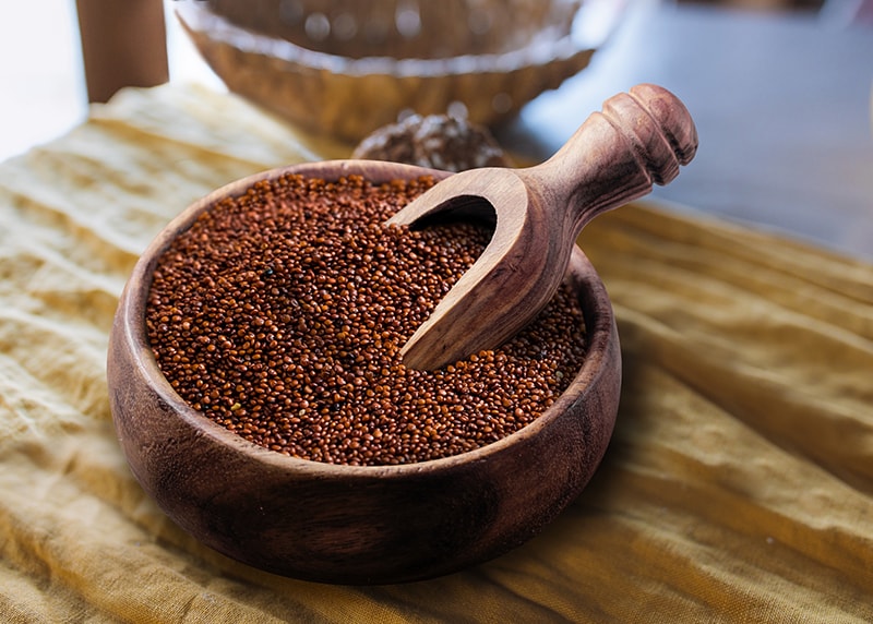 Red Quinoa (25 lbs)